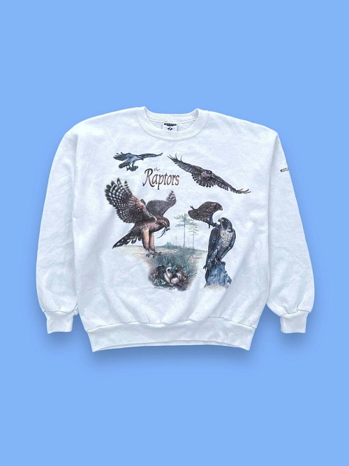 Толстовка 1994 года «Mistletoe State Park Raptors»