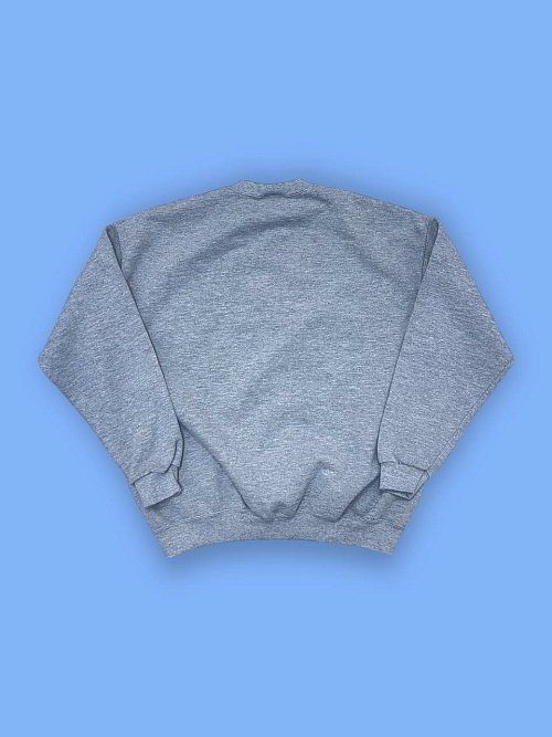 Толстовка «Minnesota State Mankato» от «Jansport»