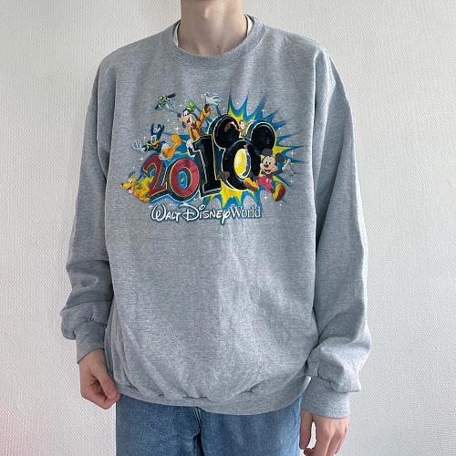 Толстовка «Disneyland» (официальная продукция)