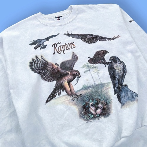 Толстовка 1994 года «Mistletoe State Park Raptors»