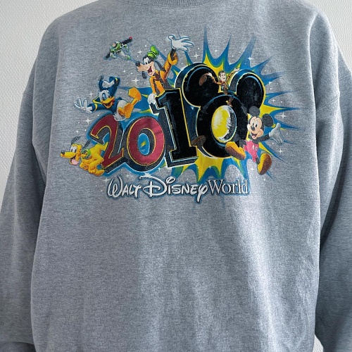 Толстовка «Disneyland» (официальная продукция)