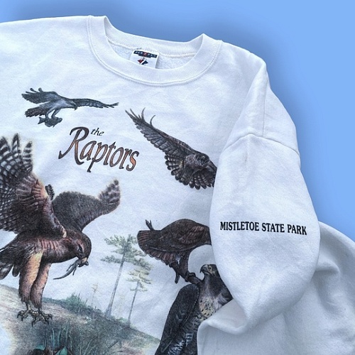 Толстовка 1994 года «Mistletoe State Park Raptors»